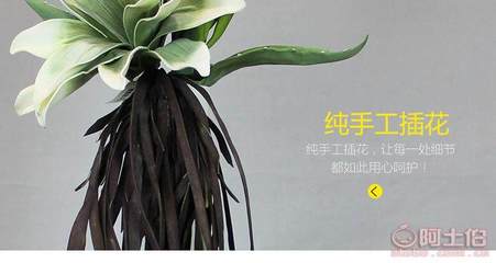 帝恩尼仿真花卉 為家居注入永不凋零的自然美學(xué)